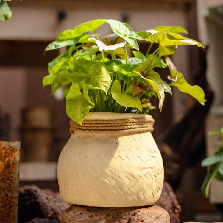 Woven Cement Planter With Rope Accent - Ed's Plant Shop