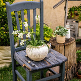 Yukun Terracotta Stubby Planter Pot - Ed's Plant Shop