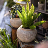 Yukun Terracotta Stubby Planter Pot - Ed's Plant Shop