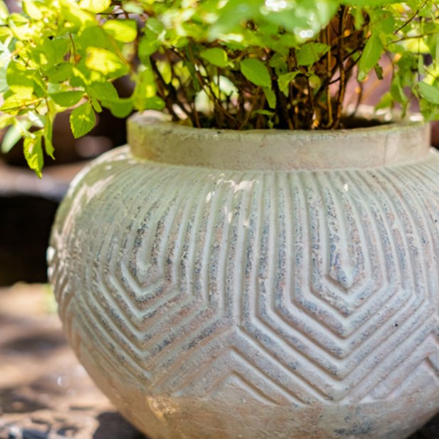 Yukun Terracotta Stubby Planter Pot - Ed's Plant Shop