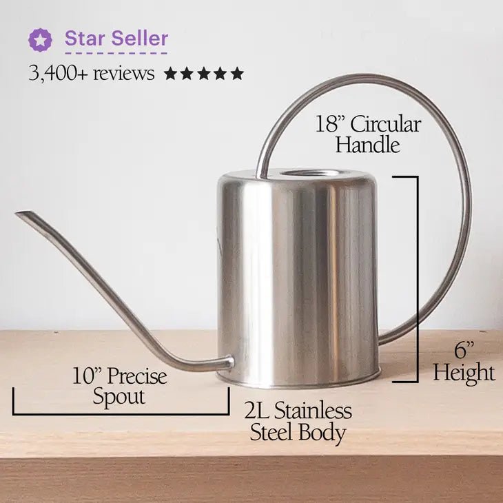 2L Stainless Steel Watering Can - Ed's Plant Shop