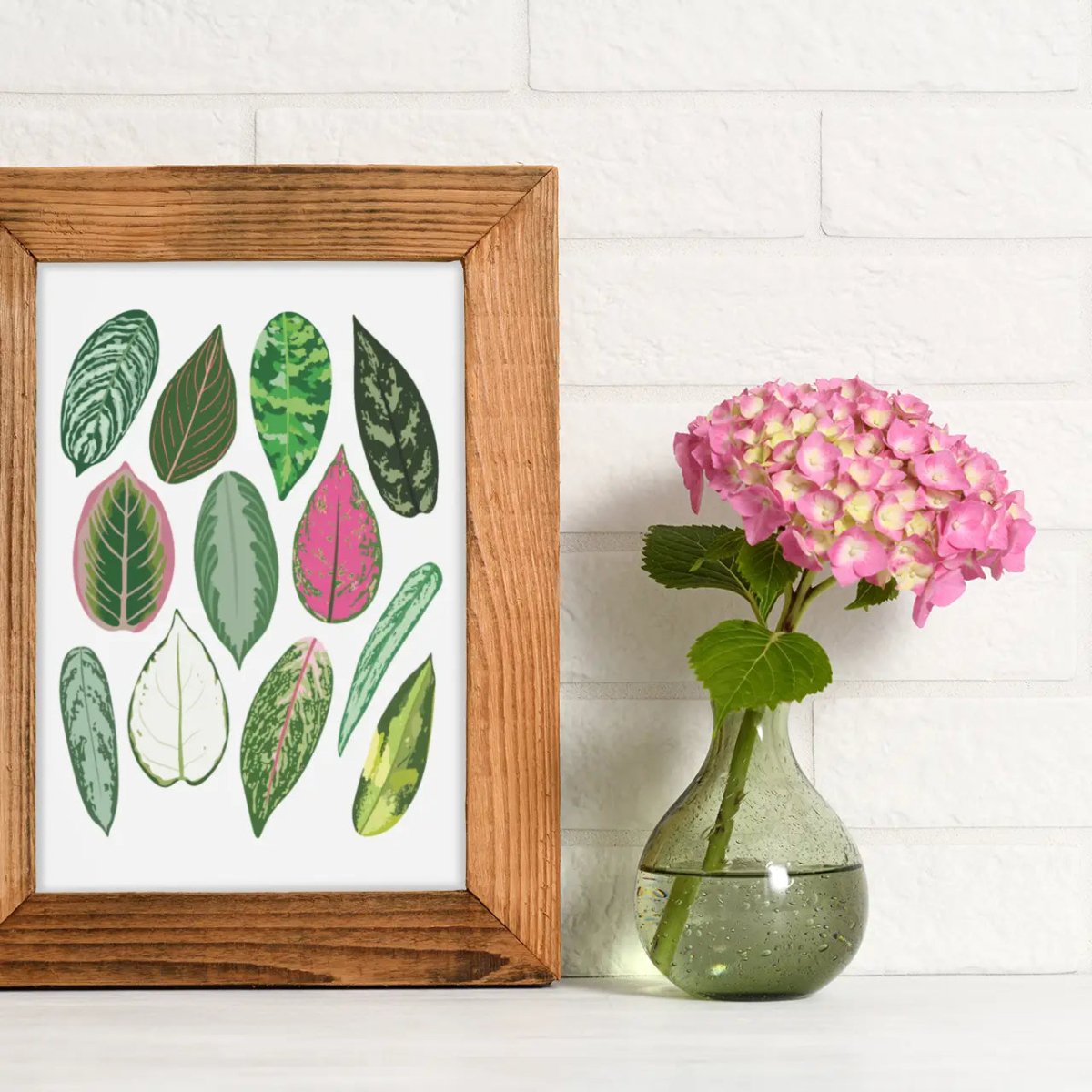 Aglaonema Species ID Chart - Botanical Houseplant Art Print - Ed's Plant Shop