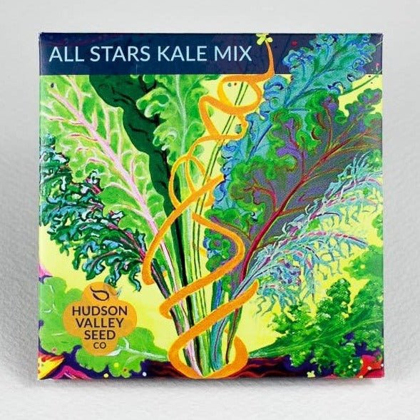 All Stars Kale Mix 6-Pack - Ed's Plant Shop