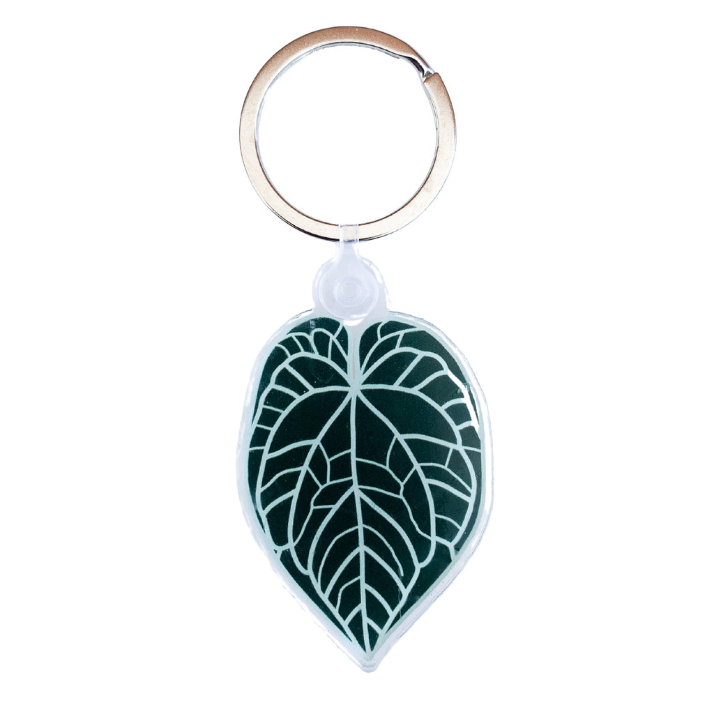 Anthurium Crystallinum Plant Leaf Acrylic Keychain - Ed's Plant Shop