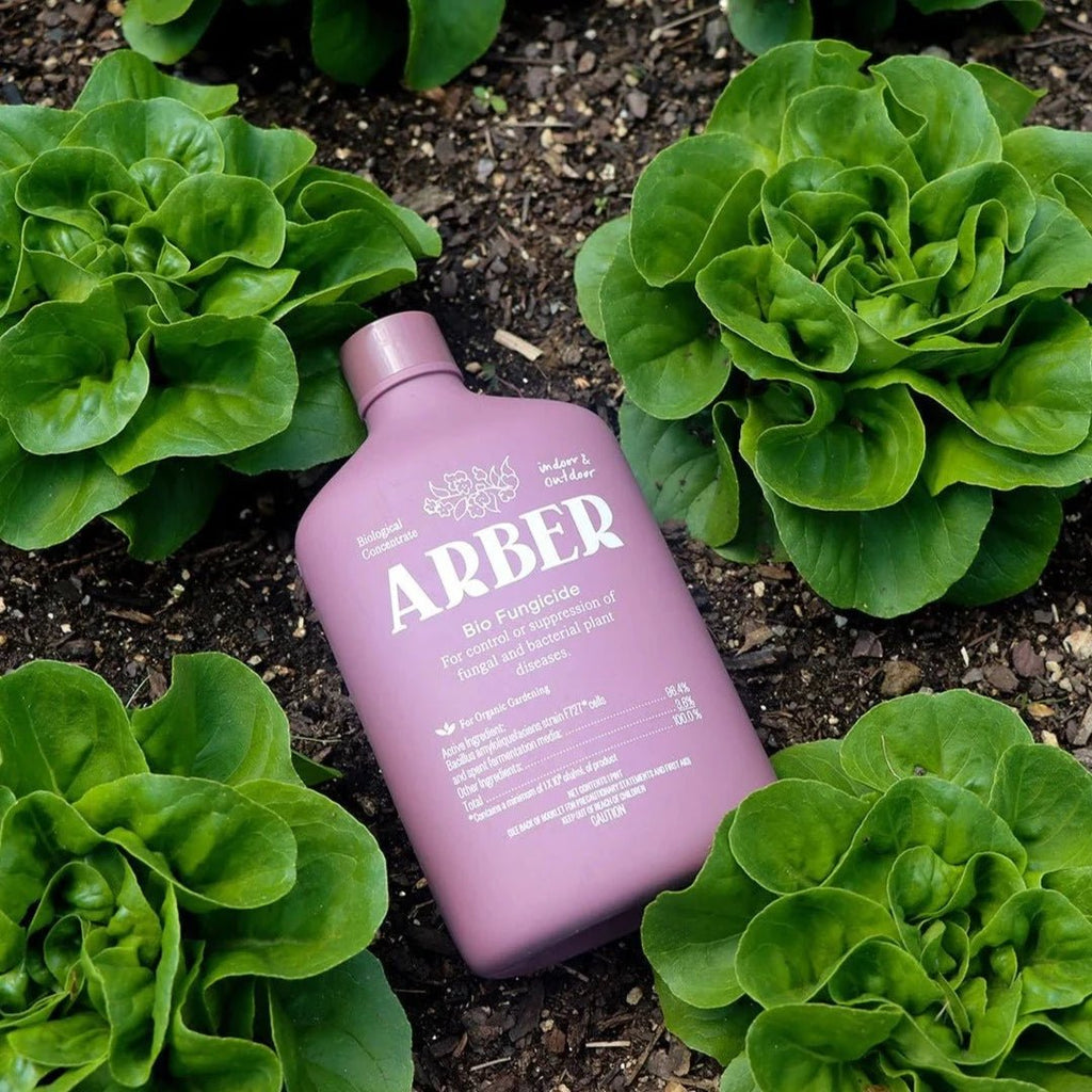 Arber Organic Bio Fungicide- 8oz - Ed's Plant Shop