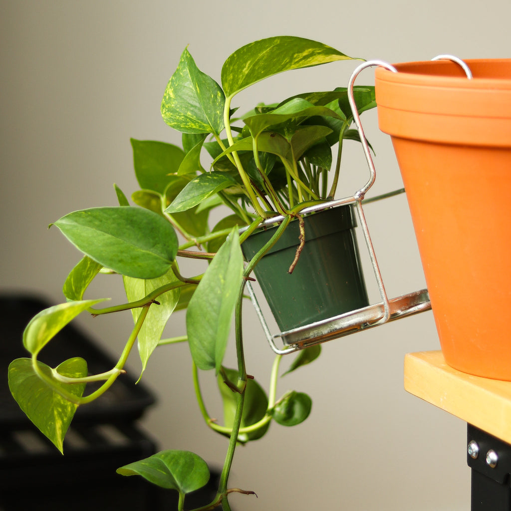 Balcony Pot Holder for 4-6” Plants - Ed's Plant Shop