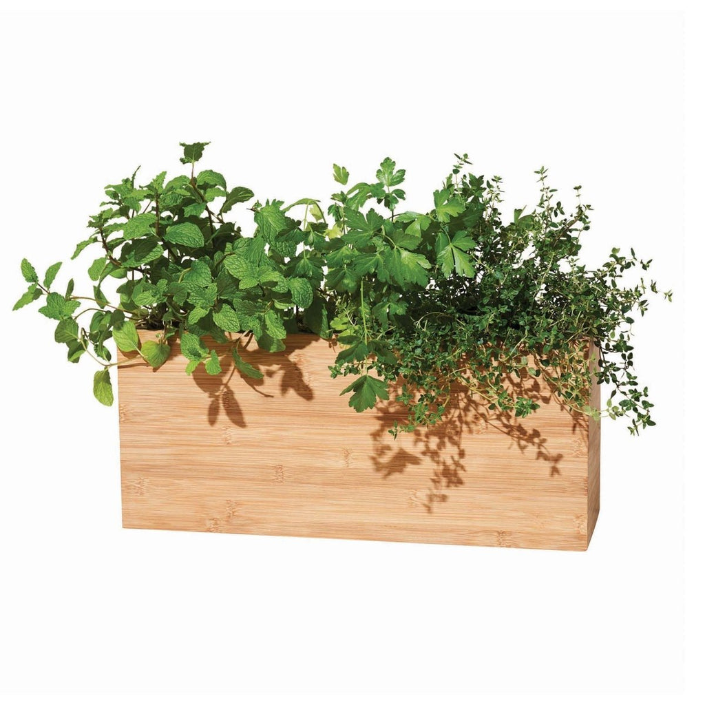 Bamboo Smart Hydroplanter - Ed's Plant Shop