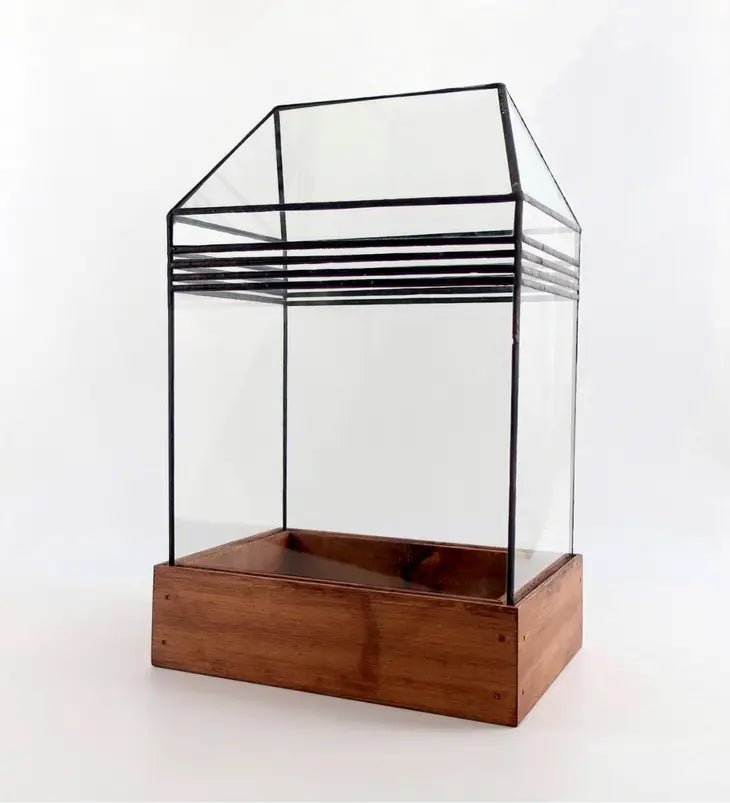 Baret Glass and wood Terrarium, Mini Greenhouse - Ed's Plant Shop