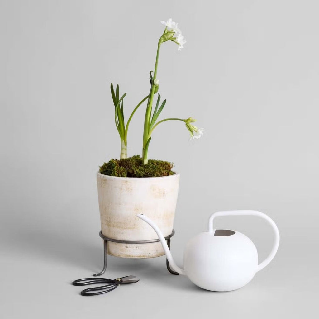 Beatrix Watering Can- White - Ed's Plant Shop