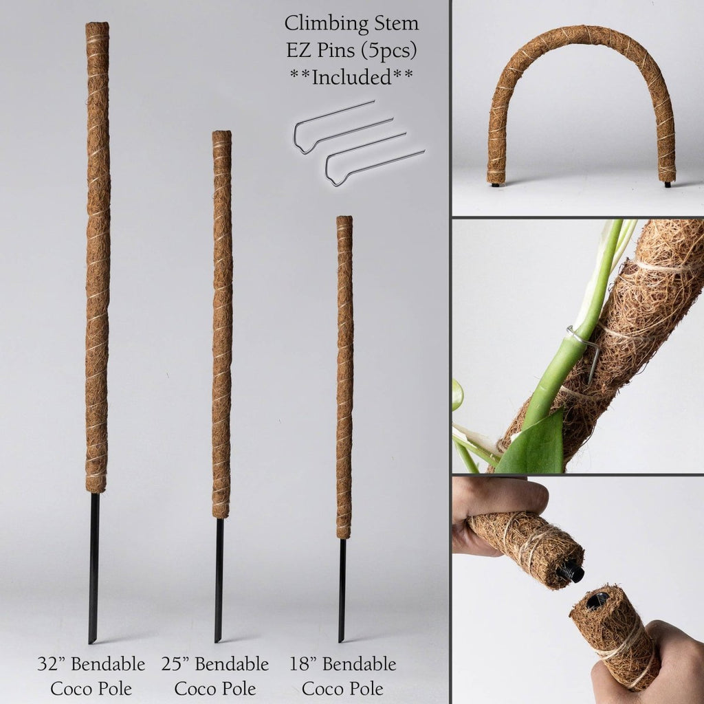 Bendable & Stackable Coco Coir Pole for Plant Support - Ed's Plant Shop