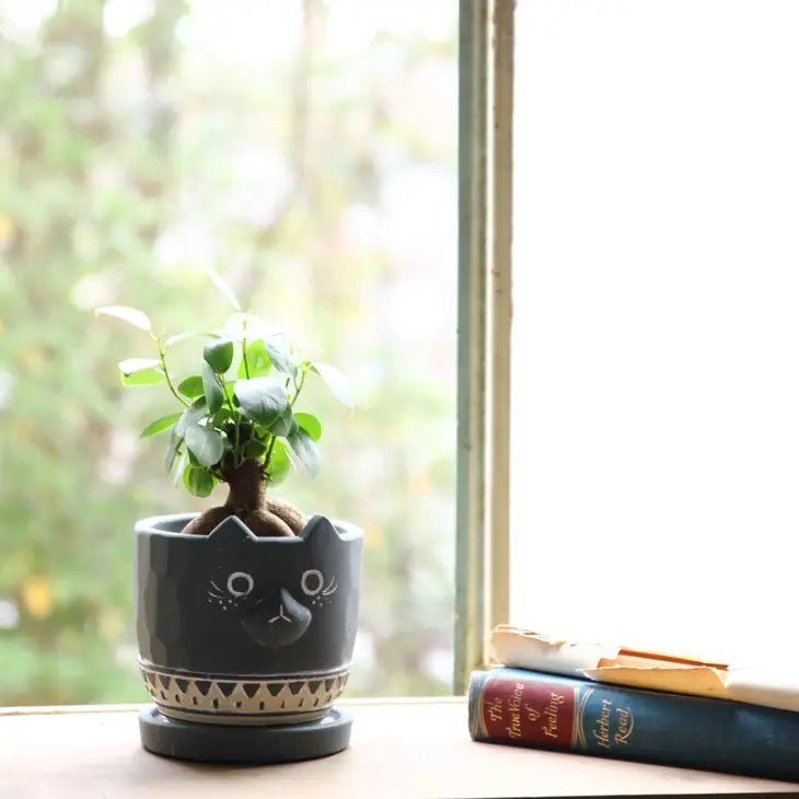 Black Cat Planter - Cement - Ed's Plant Shop