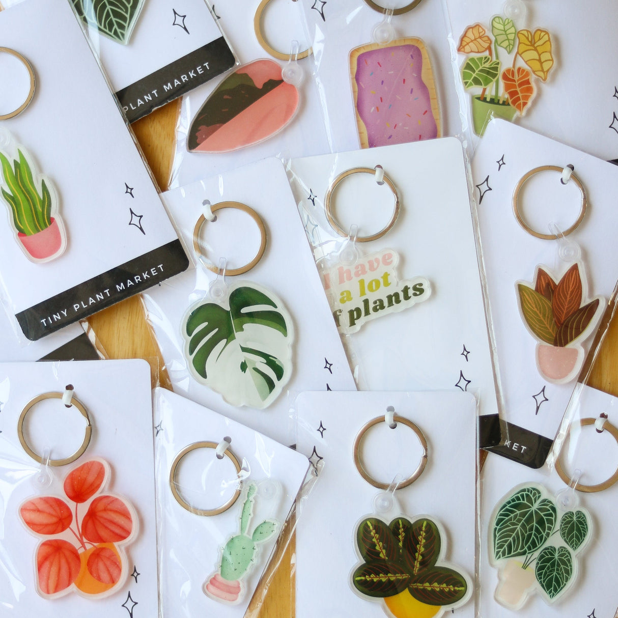 Cactus Plant Acrylic Keychain - Ed's Plant Shop