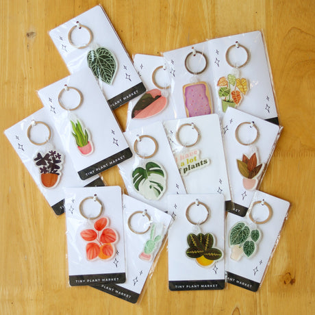 Cactus Plant Acrylic Keychain - Ed's Plant Shop