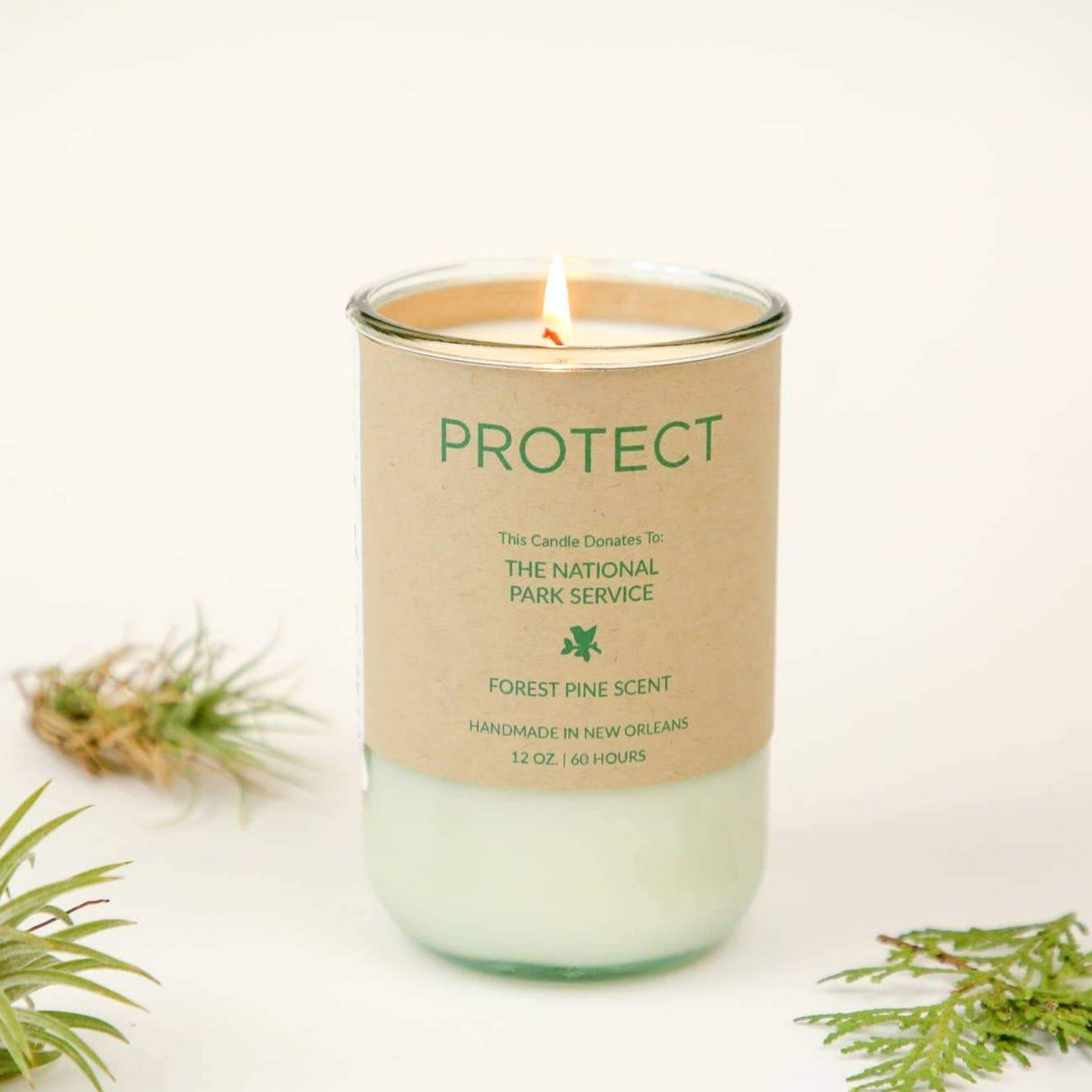 Candles For Good - PROTECT, Forest Pine Scent Evergreen - Ed's Plant Shop