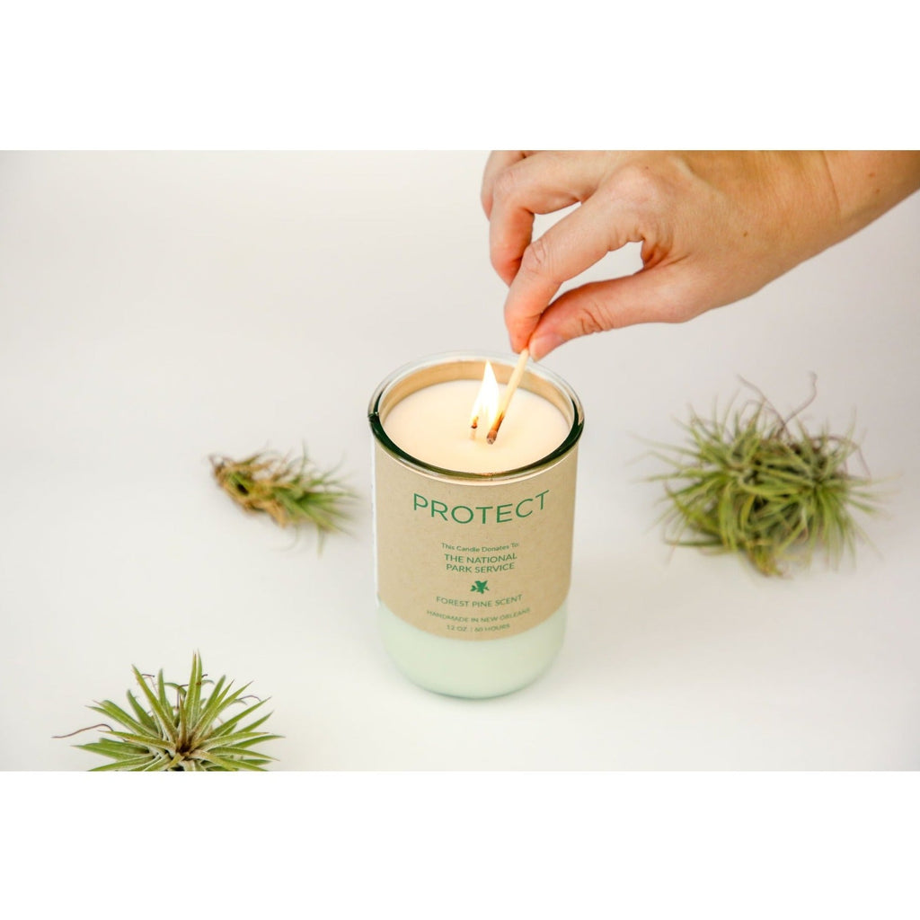 Candles For Good - PROTECT, Forest Pine Scent Evergreen - Ed's Plant Shop