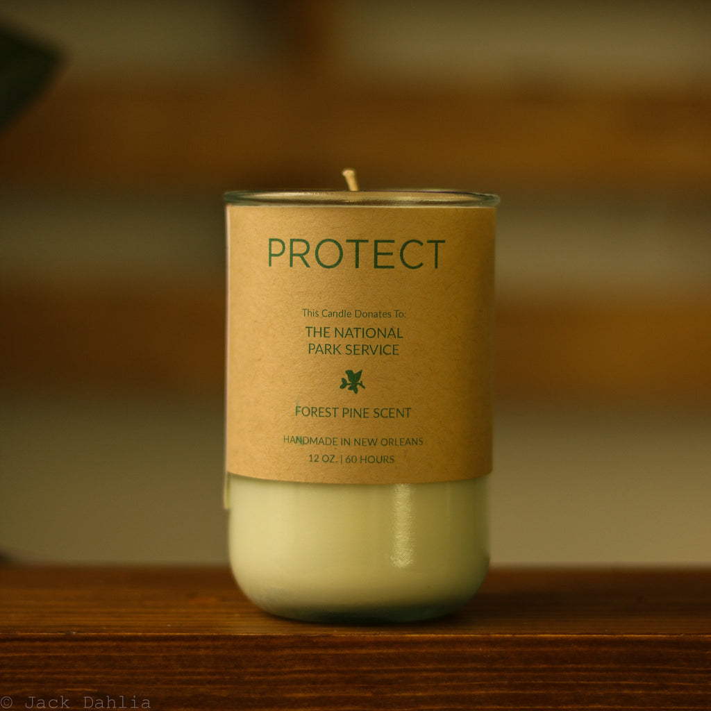 Candles For Good - PROTECT, Forest Pine Scent Evergreen - Ed's Plant Shop