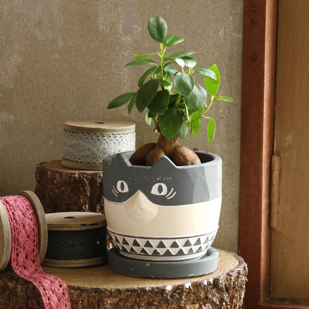 Cement Planter - Calico Cat for 4-Inch Plants - Ed's Plant Shop