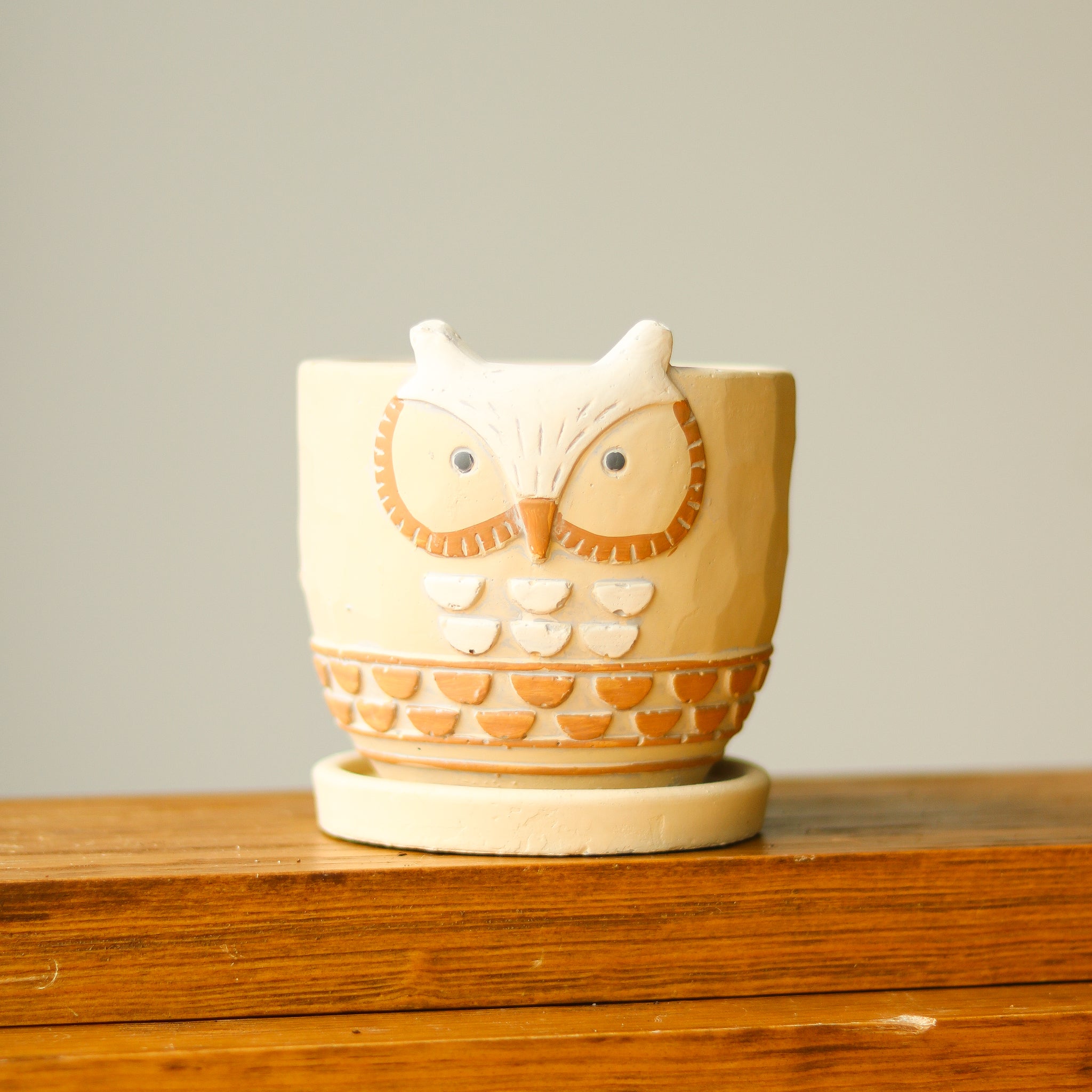 Cement Owl Planter Pot – Ed's Plant Shop