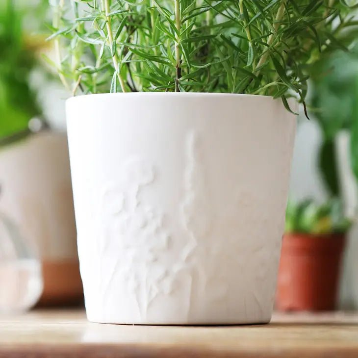Ceramic Raised Wildflower Planter - Ed's Plant Shop