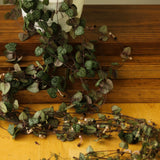 Ceropegia Woodii - String of Hearts - Ed's Plant Shop