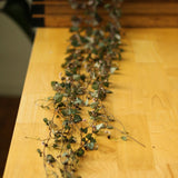 Ceropegia Woodii - String of Hearts - Ed's Plant Shop