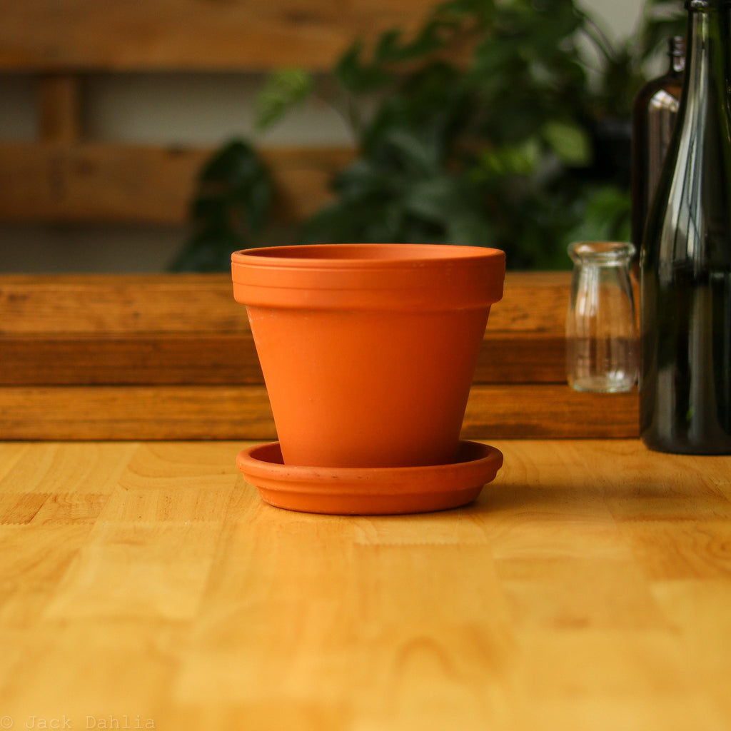 Clay Terra Cotta Pot with Saucer - Ed's Plant Shop