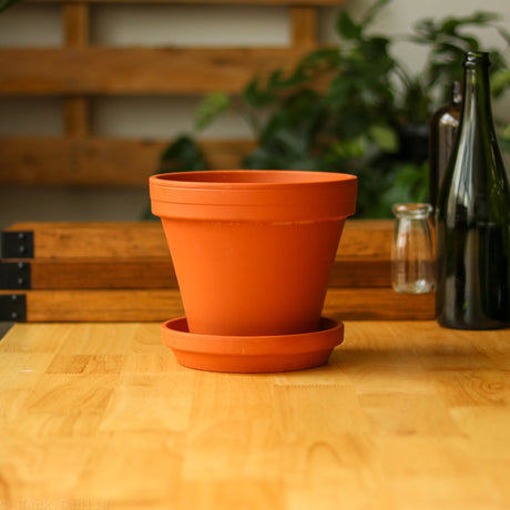 Clay Terra Cotta Pot with Saucer - Ed's Plant Shop