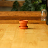 Clay Terra Cotta Pot with Saucer - Ed's Plant Shop