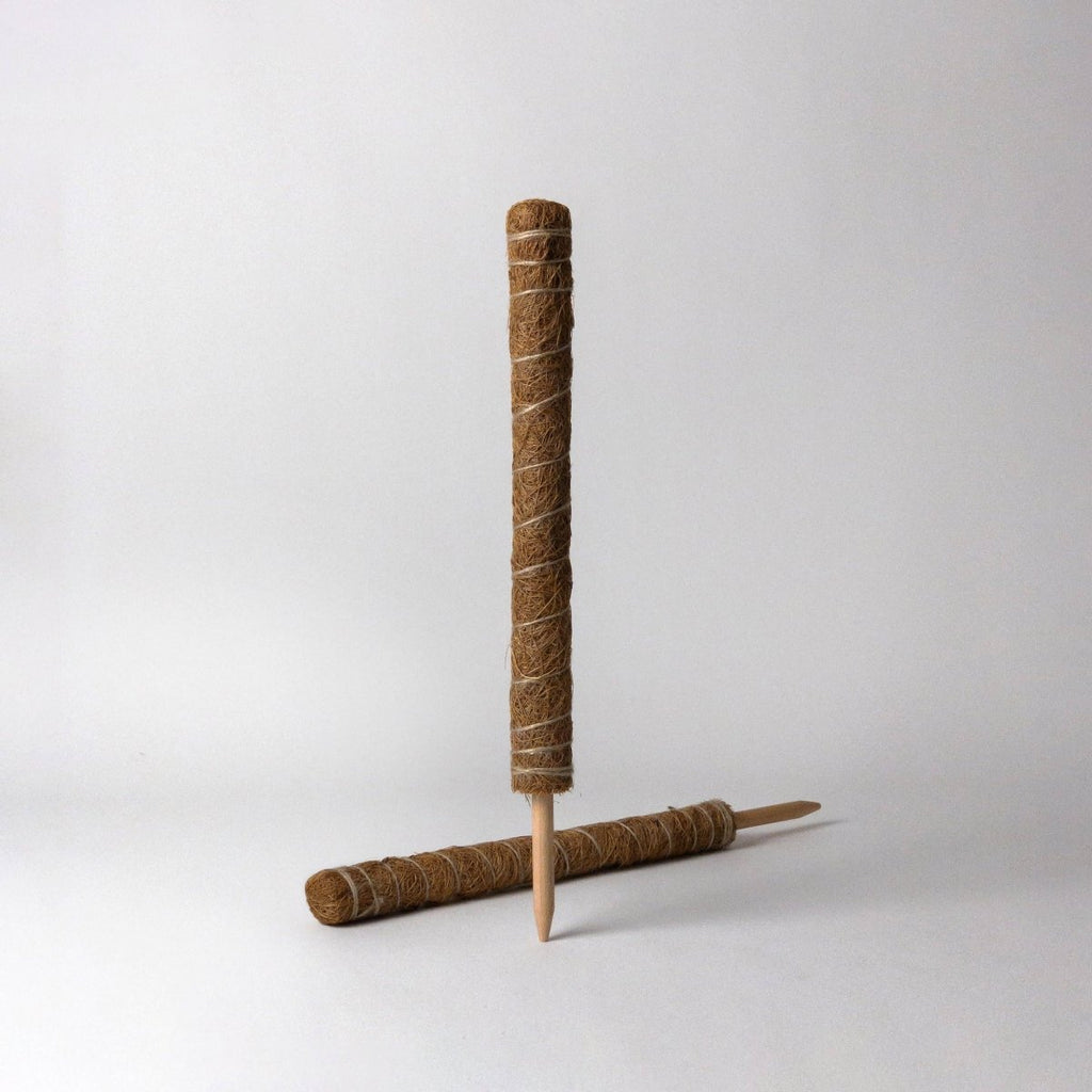 Coco Coir Pole for Plant Support (Small) - Ed's Plant Shop