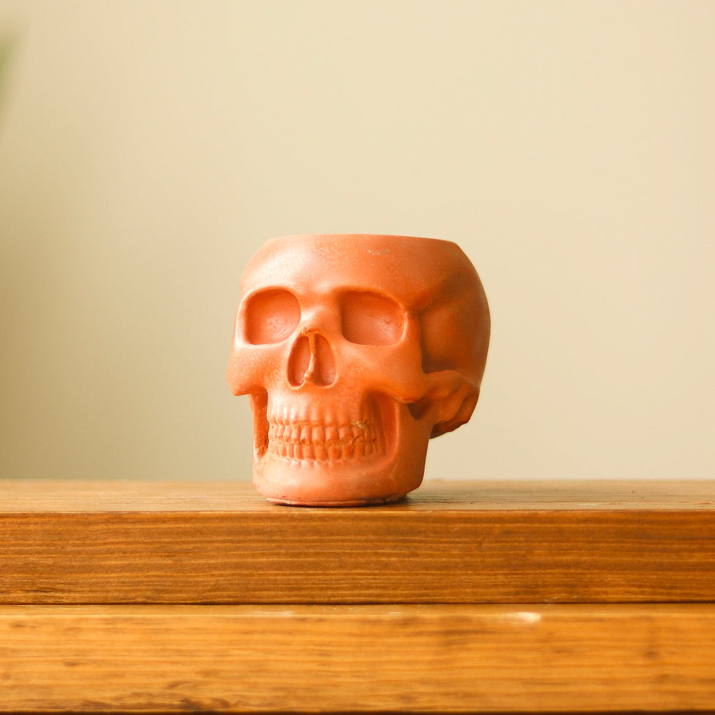 Concrete Skull Planter for 2 to 3-Inch Plants - Terracotta - Ed's Plant Shop