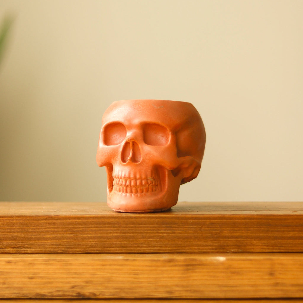 Concrete Skull Planter for 2 to 3-Inch Plants - Terracotta - Ed's Plant Shop