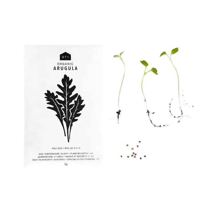 Culinary Herb Seeds- Pack of 5 - RT1home