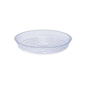 Curtis Wagner Clear Round Saucer for Pots & Planters - Ed's Plant Shop