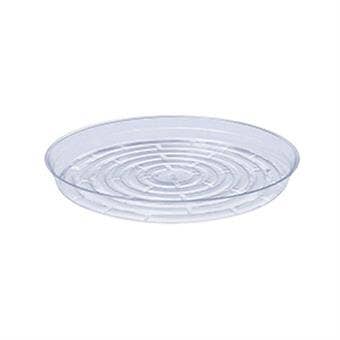 Curtis Wagner Clear Round Saucer for Pots & Planters - Ed's Plant Shop