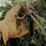 Dandelion Weeding Fork - Ed's Plant Shop