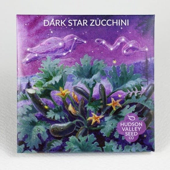 Dark Star Zucchini Summer Squash 6-Pack - Hudson Valley Seed Company