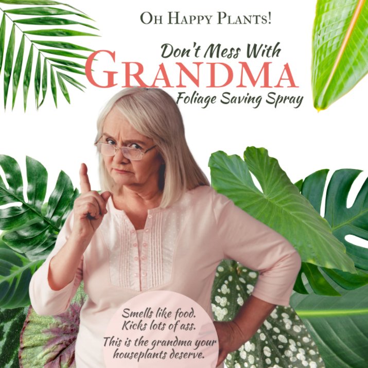 'Don't Mess With Grandma' Foliage Spray 8oz - Ed's Plant Shop