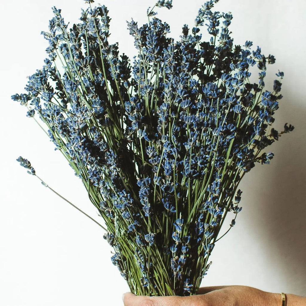 Dried Flower Bundle: Lavender - Ed's Plant Shop