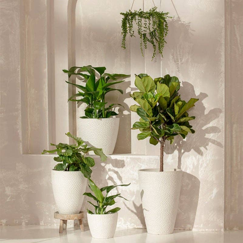 Dryades White Pot - 9.4" - Ed's Plant Shop