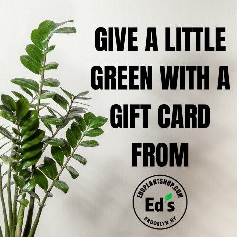 Ed's Plant Shop E-Gift Card - Ed's Plant Shop