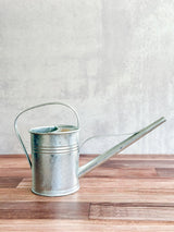 Galvanized Metal Watering Can 1.5 Liter - Ed's Plant Shop