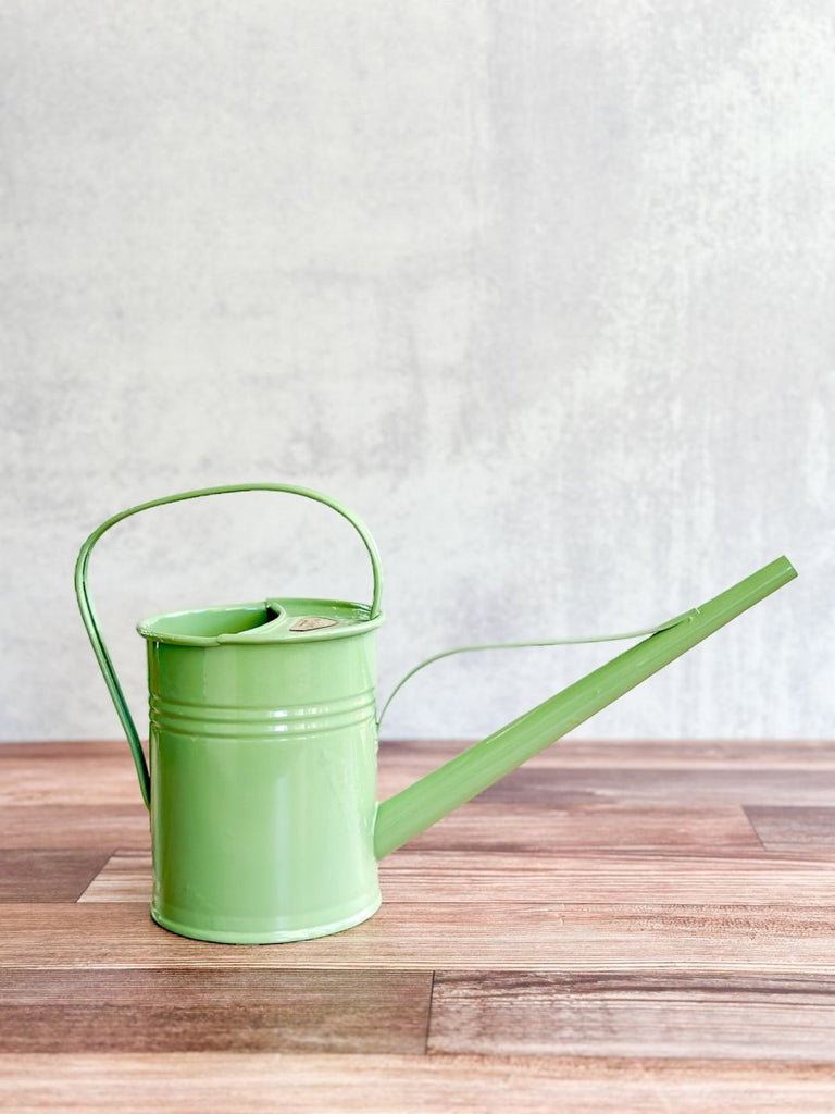 Galvanized Metal Watering Can 1.5 Liter - Ed's Plant Shop