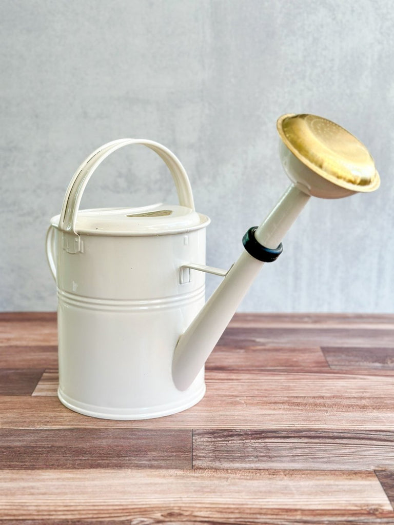 Galvanized Metal Watering Can 5 Liter - Ed's Plant Shop