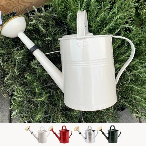 Galvanized Metal Watering Can 5 Liter - Ed's Plant Shop