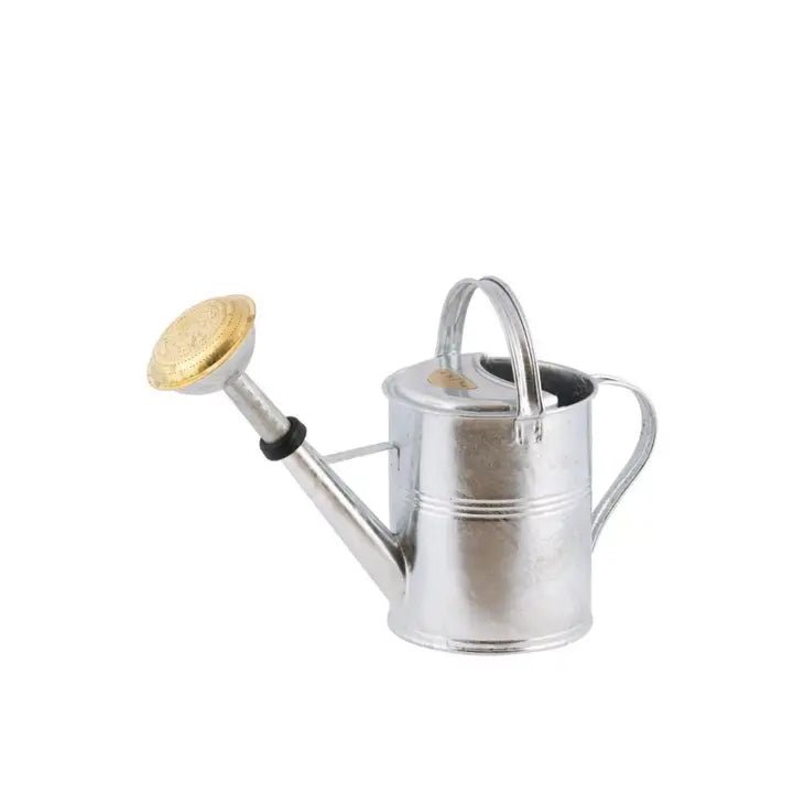 Galvanized Metal Watering Can 5 Liter - Ed's Plant Shop