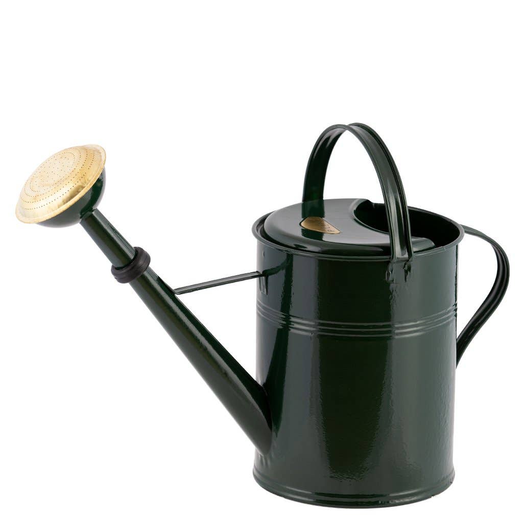 Galvanized Metal Watering Can 9 Liter - Ed's Plant Shop