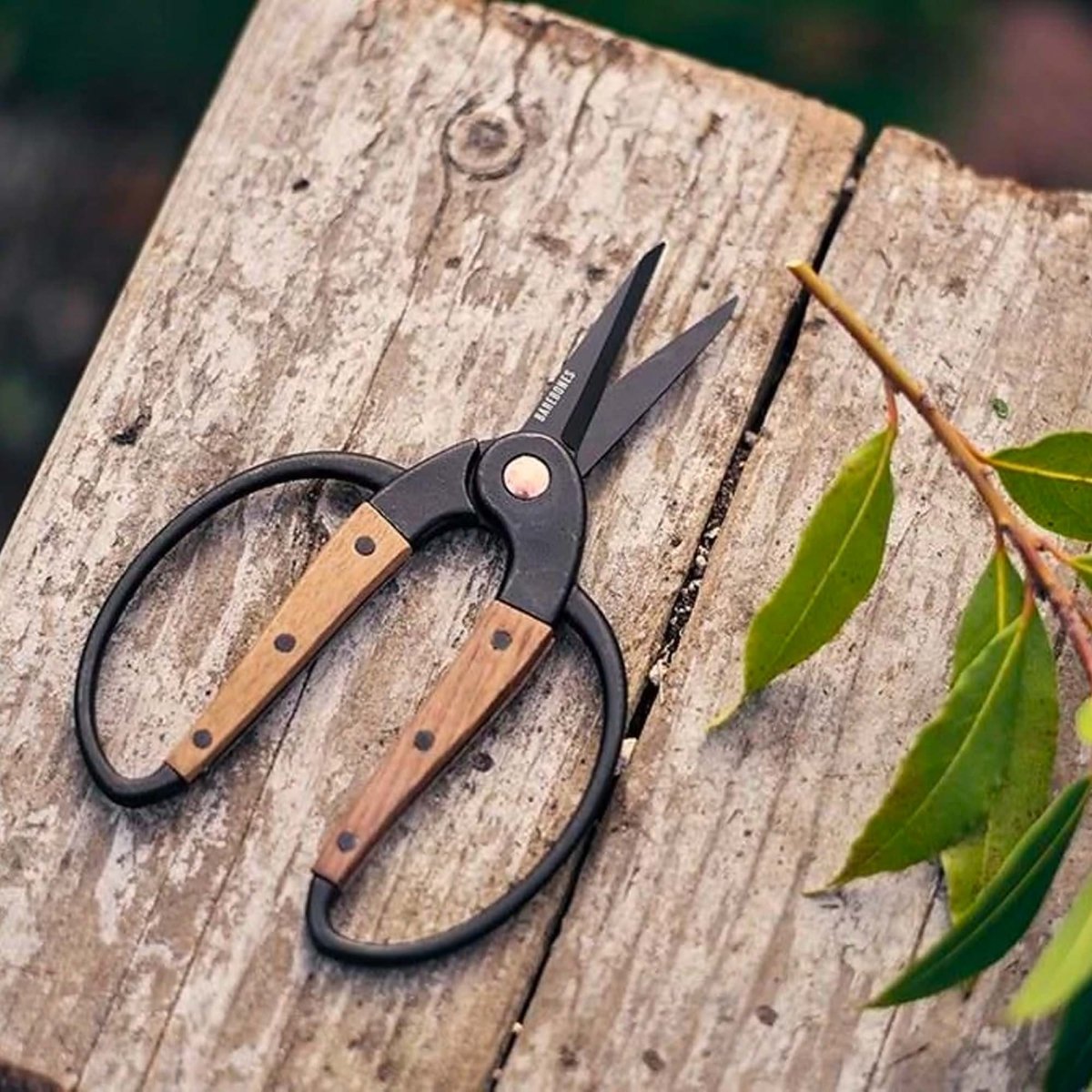 Garden Scissors - Ed's Plant Shop