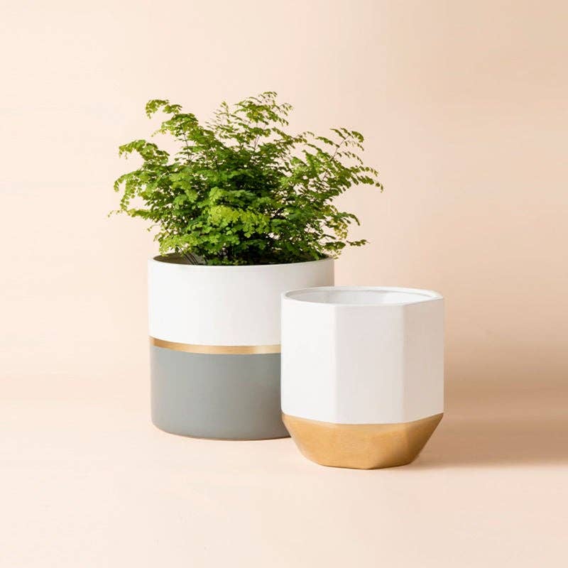 Garonne Grey Pot Set - 10" + 8.1" - Ed's Plant Shop