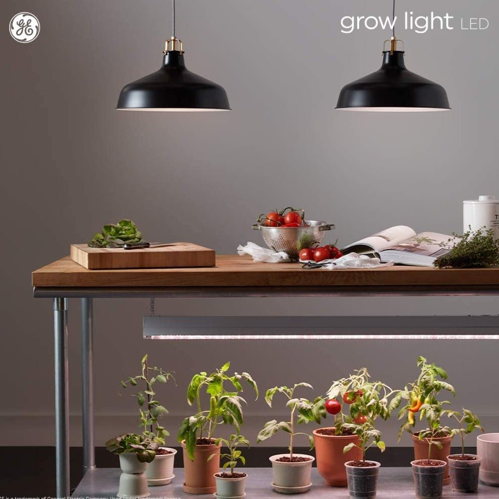 GE Grow Light- LED Floodlight Bulb- 1 Pack - Ed's Plant Shop