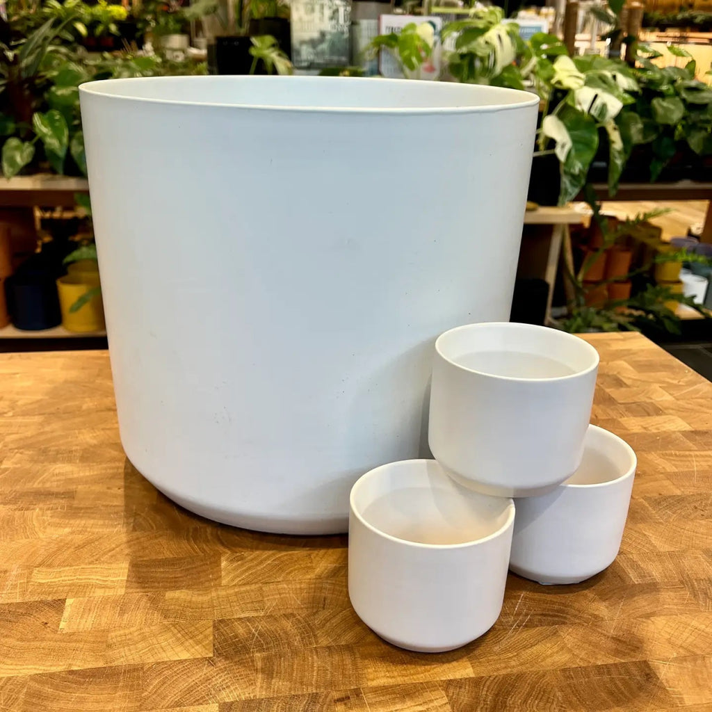 Glazed Ceramic Mini Planter Pot 3.25 Inch - Ed's Plant Shop